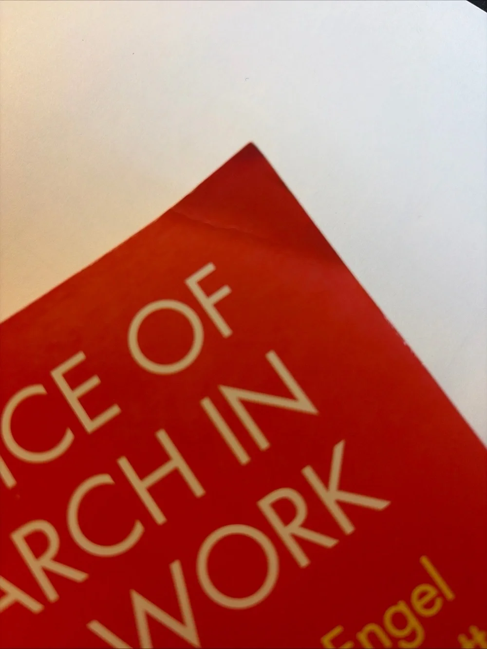 The Practice of Research in Social Work by Rafael Engel